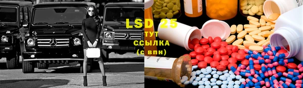 ГАЛЛЮЦИНОГЕННЫЕ ГРИБЫ Заводоуковск