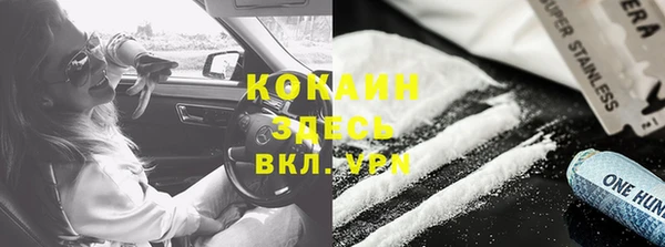 ГАЛЛЮЦИНОГЕННЫЕ ГРИБЫ Заводоуковск